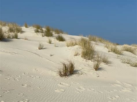 spiekeroog white dune.